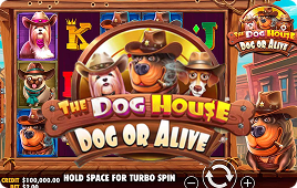 Golden Paw Hold & Win